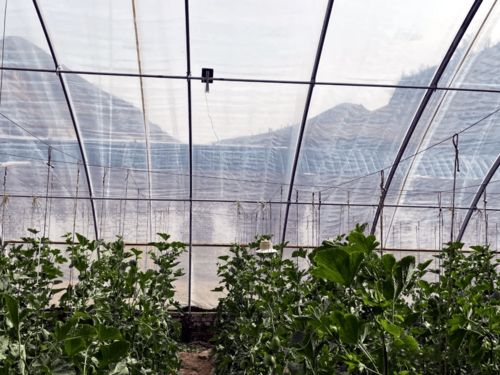 陜西首個(gè)數(shù)字鄉(xiāng)鎮(zhèn)示范村驗(yàn)收成功，物聯(lián)網(wǎng)技術(shù)點(diǎn)亮智慧鄉(xiāng)村新圖景